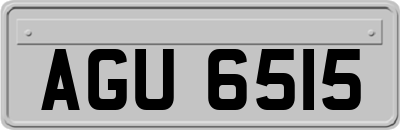 AGU6515