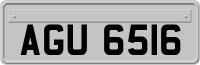 AGU6516