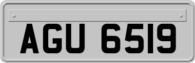 AGU6519