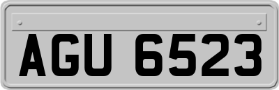 AGU6523