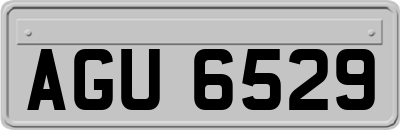 AGU6529