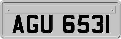 AGU6531