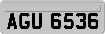 AGU6536