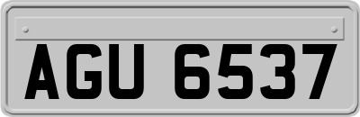 AGU6537