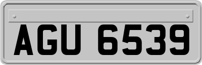 AGU6539