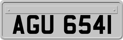 AGU6541
