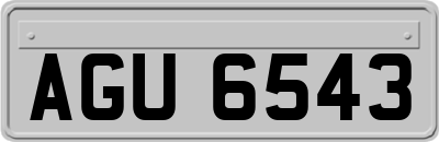 AGU6543