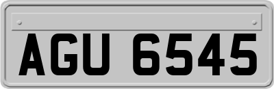 AGU6545