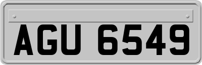 AGU6549
