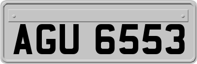 AGU6553