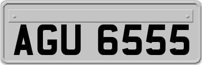 AGU6555