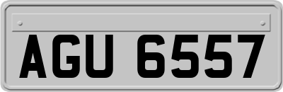 AGU6557
