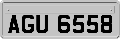 AGU6558