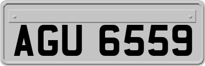 AGU6559