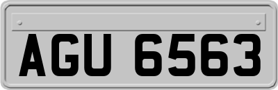 AGU6563