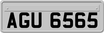 AGU6565