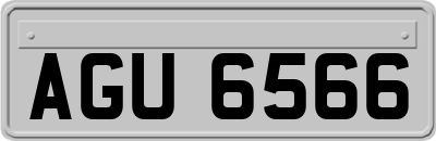 AGU6566