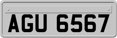 AGU6567