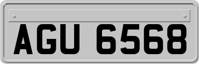 AGU6568