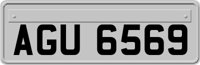 AGU6569