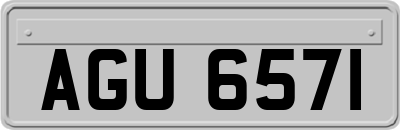 AGU6571