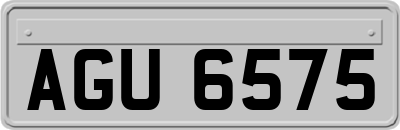 AGU6575