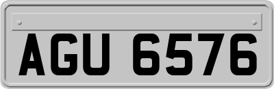 AGU6576