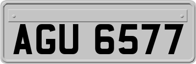AGU6577