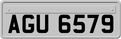 AGU6579