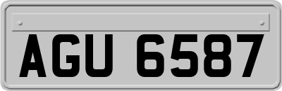 AGU6587