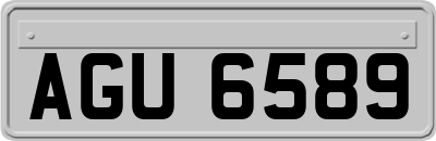 AGU6589