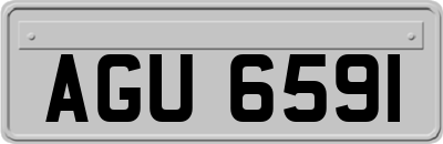 AGU6591