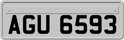 AGU6593