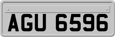 AGU6596