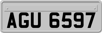 AGU6597