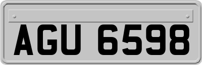 AGU6598