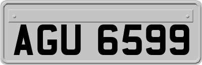 AGU6599