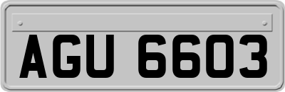 AGU6603