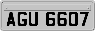 AGU6607
