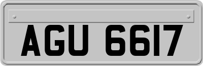 AGU6617