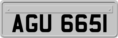 AGU6651