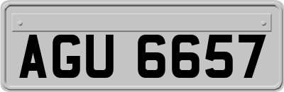 AGU6657