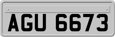 AGU6673