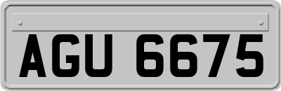 AGU6675