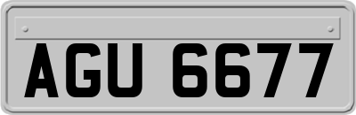 AGU6677