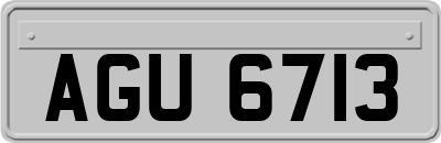 AGU6713