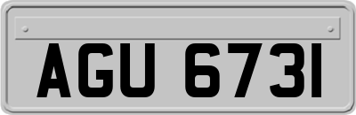 AGU6731