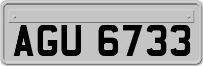 AGU6733