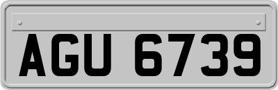 AGU6739