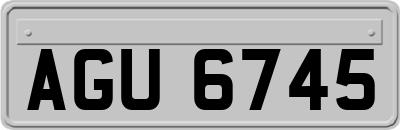 AGU6745